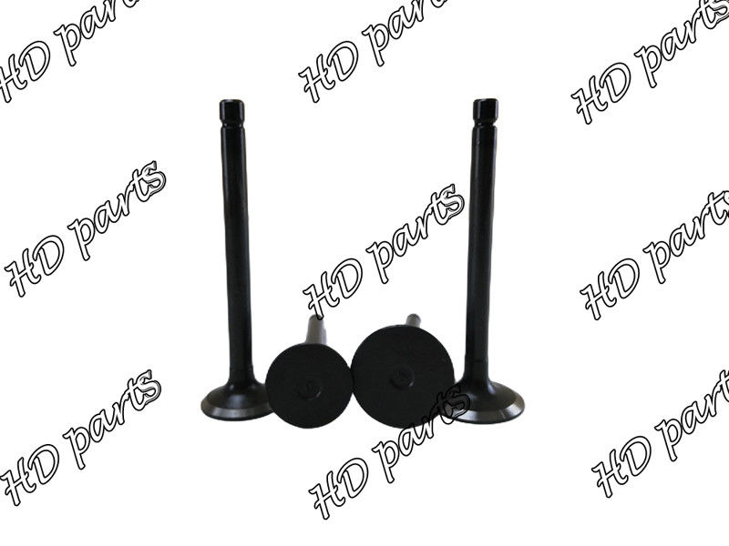 কুবতা ইঞ্জিনের জন্য D1302 D1402 V1702 V1902 F2302 F2402 S2802 পিস্টন ভালভ 17331-13110 17331-13120