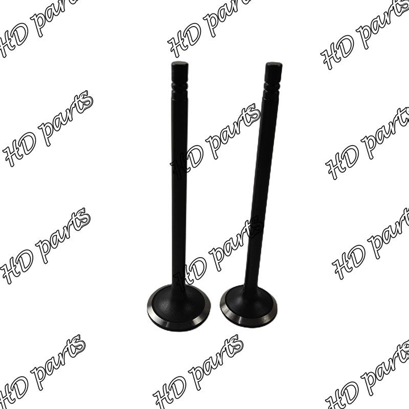 S6B S6B3 ডিজেল ভালভ 33704-10102 36204-21100 36204-41101 36204-20100 মিতসুবিশি ইঞ্জিনের জন্য