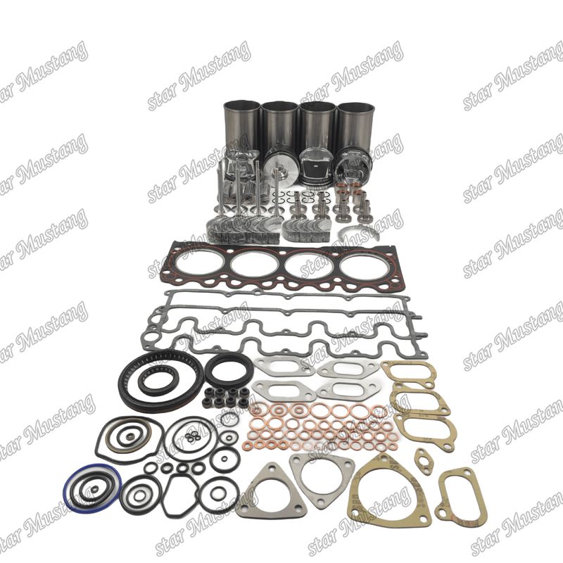 BF4M1011F ওভারহোল মেরামত কিট সিলিন্ডার লাইনার পিস্টন কিট গ্যাসকেট কিট ভালভ সিট গাইড প্রধান এবং কন রড Deutz জন্য