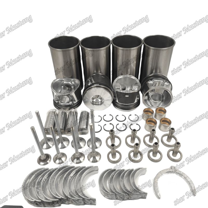 BF4M1011F ওভারহোল মেরামত কিট সিলিন্ডার লাইনার পিস্টন কিট গ্যাসকেট কিট ভালভ সিট গাইড প্রধান এবং কন রড Deutz জন্য