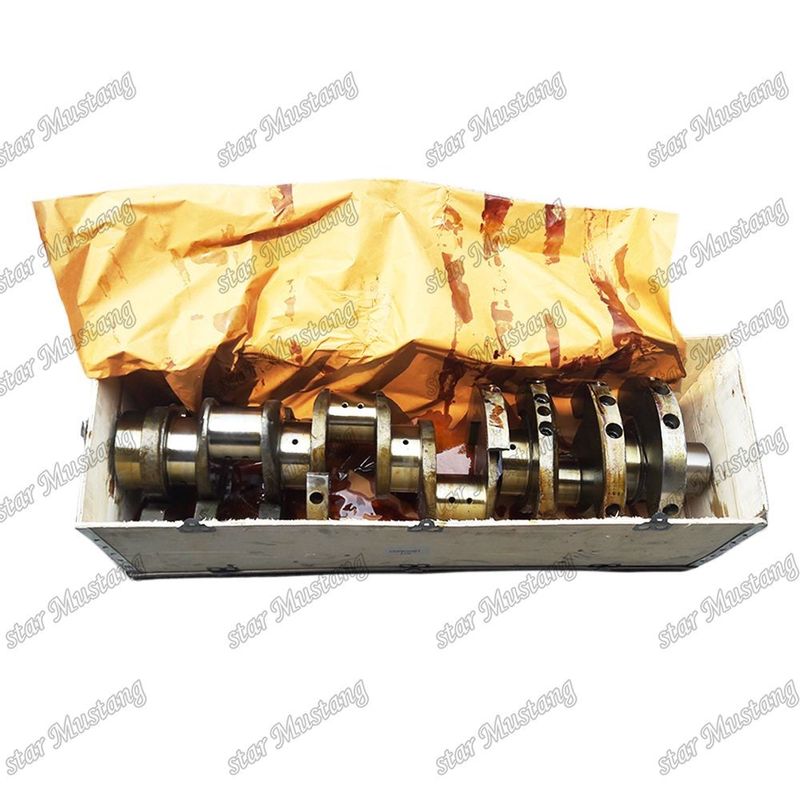 F17E EF750 ইঞ্জিন ক্র্যাঙ্কশ্যাফ্ট 13400-1960 13400-3110 HINO ইঞ্জিনের খুচরা যন্ত্রাংশের জন্য