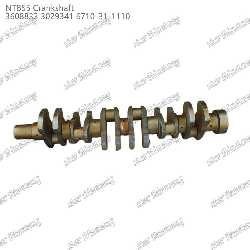 ক্র্যাঙ্কশ্যাফ্ট NT855 কাঠের ইস্পাত 3608833 3029341 6710-31-1110 কামিন্স ডিজেল ইঞ্জিনের জন্য অংশ