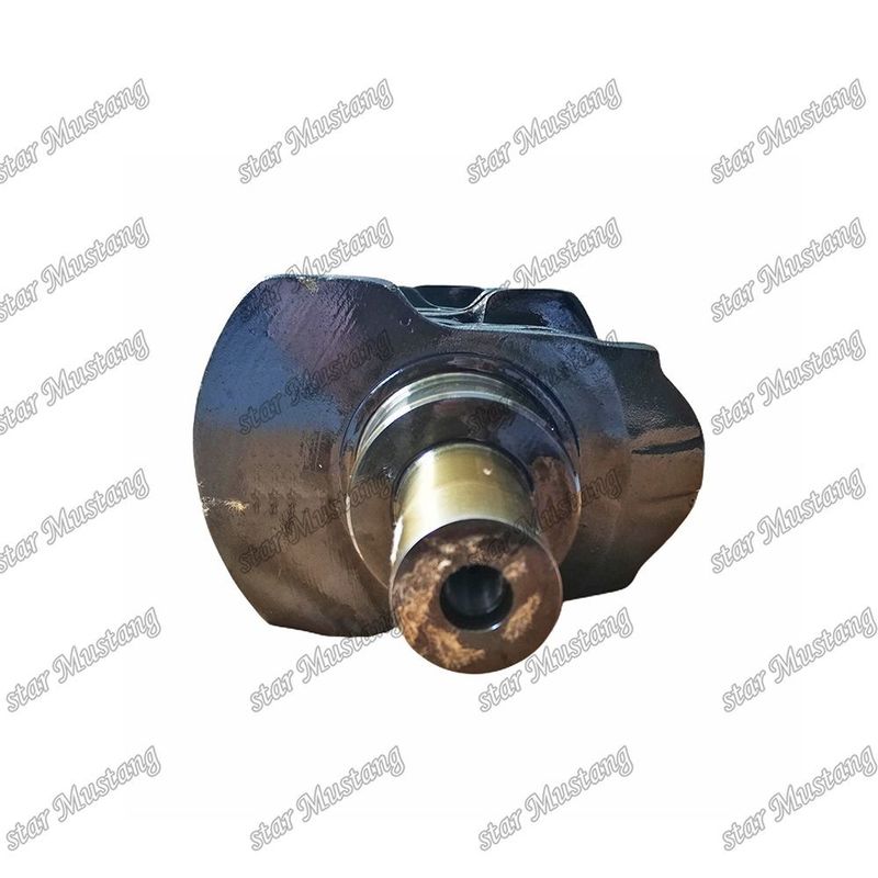 ক্র্যাঙ্কশ্যাফ্ট 4TNV106 4TNE106 PC95R-2 PC110R-1 PW95R-2 PW110R-1 123900-21000 YM123900 Yanmar ডিজেল ইঞ্জিন মেরামতের জন্য