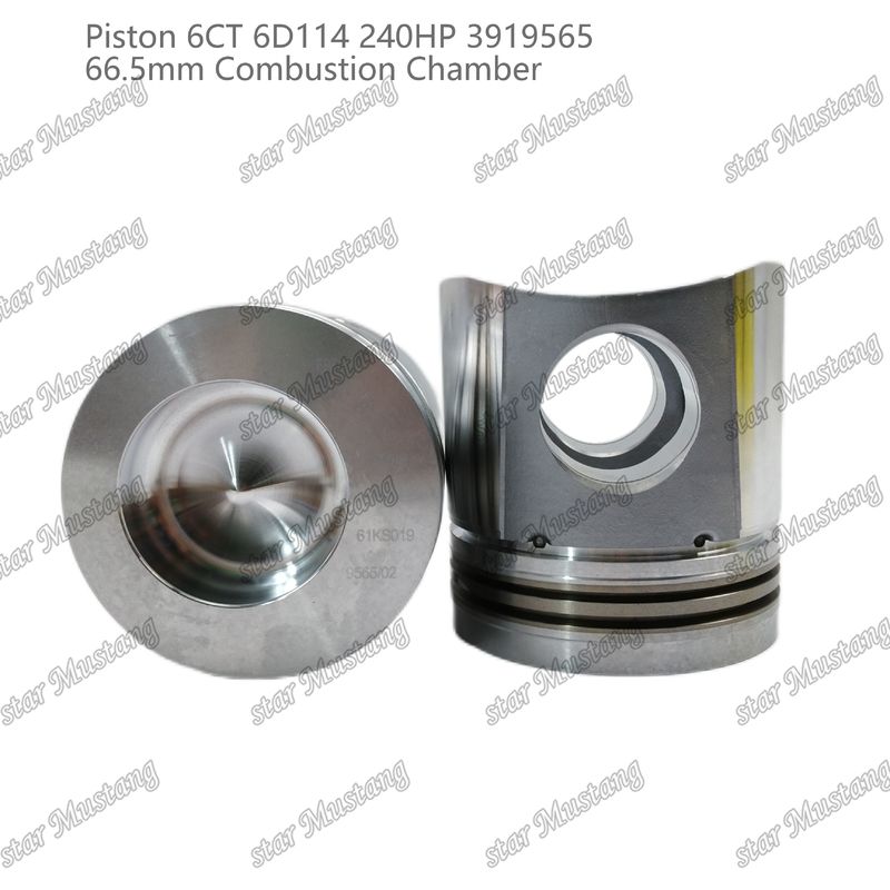 পিস্টন 6CT 6D114 240HP 3919565 66.5mm কমিন্স ডিজেল ইঞ্জিন মেরামতের জন্য জ্বলন চেম্বার