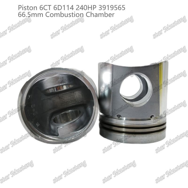 পিস্টন 6CT 6D114 240HP 3919565 66.5mm কমিন্স ডিজেল ইঞ্জিন মেরামতের জন্য জ্বলন চেম্বার