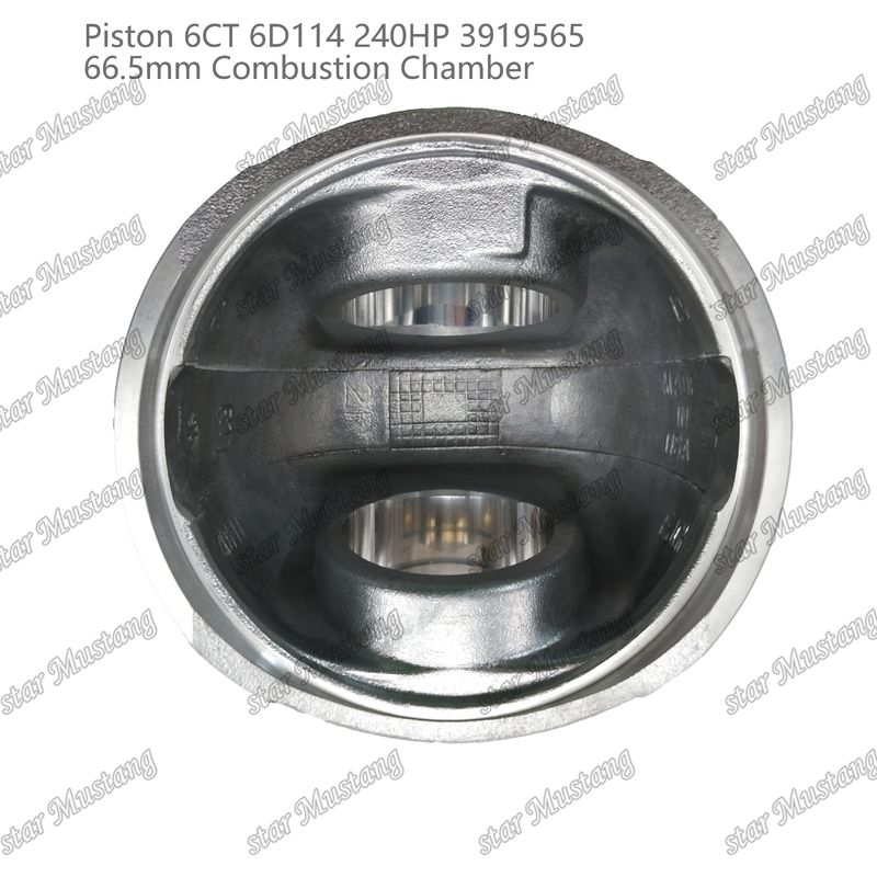 পিস্টন 6CT 6D114 240HP 3919565 66.5mm কমিন্স ডিজেল ইঞ্জিন মেরামতের জন্য জ্বলন চেম্বার