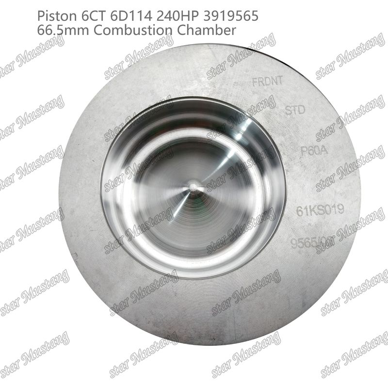 পিস্টন 6CT 6D114 240HP 3919565 66.5mm কমিন্স ডিজেল ইঞ্জিন মেরামতের জন্য জ্বলন চেম্বার