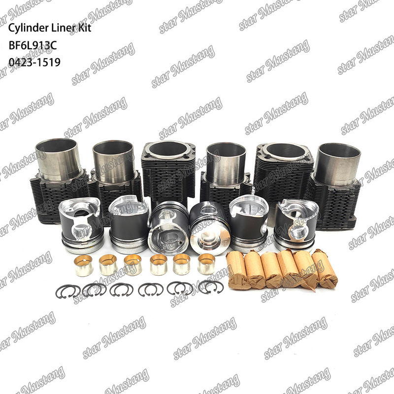 নতুন অবস্থায় ডিজেল ইঞ্জিন টাইপ লিনার কিট BF6L913C 0423-1519 এর জন্য