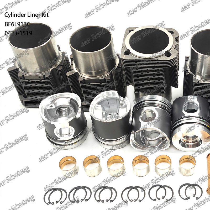 নতুন অবস্থায় ডিজেল ইঞ্জিন টাইপ লিনার কিট BF6L913C 0423-1519 এর জন্য