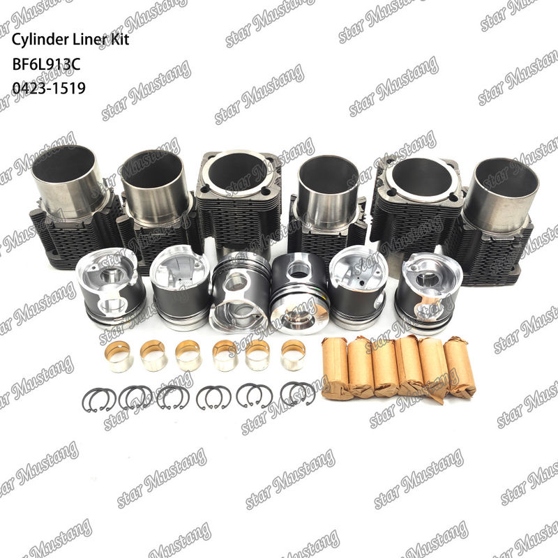 নতুন অবস্থায় ডিজেল ইঞ্জিন টাইপ লিনার কিট BF6L913C 0423-1519 এর জন্য