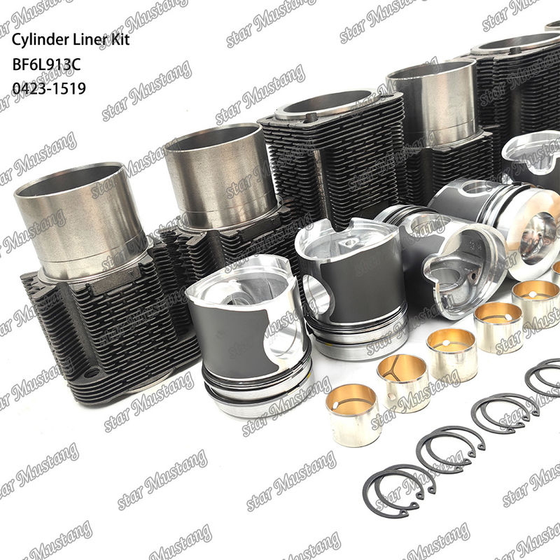 নতুন অবস্থায় ডিজেল ইঞ্জিন টাইপ লিনার কিট BF6L913C 0423-1519 এর জন্য