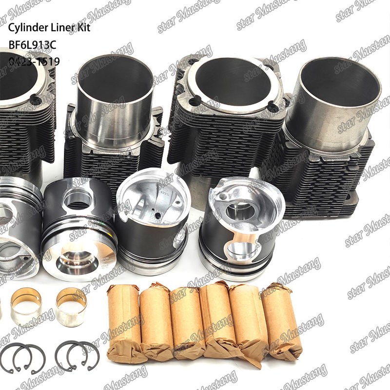 নতুন অবস্থায় ডিজেল ইঞ্জিন টাইপ লিনার কিট BF6L913C 0423-1519 এর জন্য