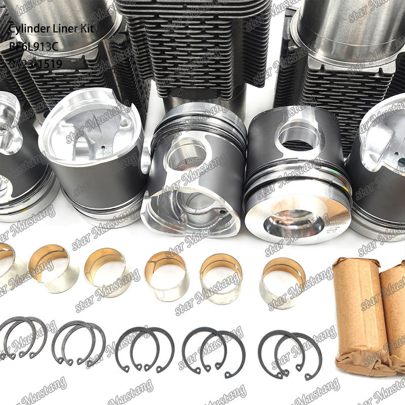 নতুন অবস্থায় ডিজেল ইঞ্জিন টাইপ লিনার কিট BF6L913C 0423-1519 এর জন্য