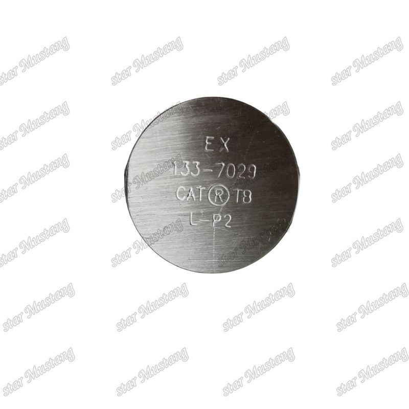 3176C C10 IN 7E9578 EX 133-7029 Caterpillar ইঞ্জিনের জন্য ভ্যালভ