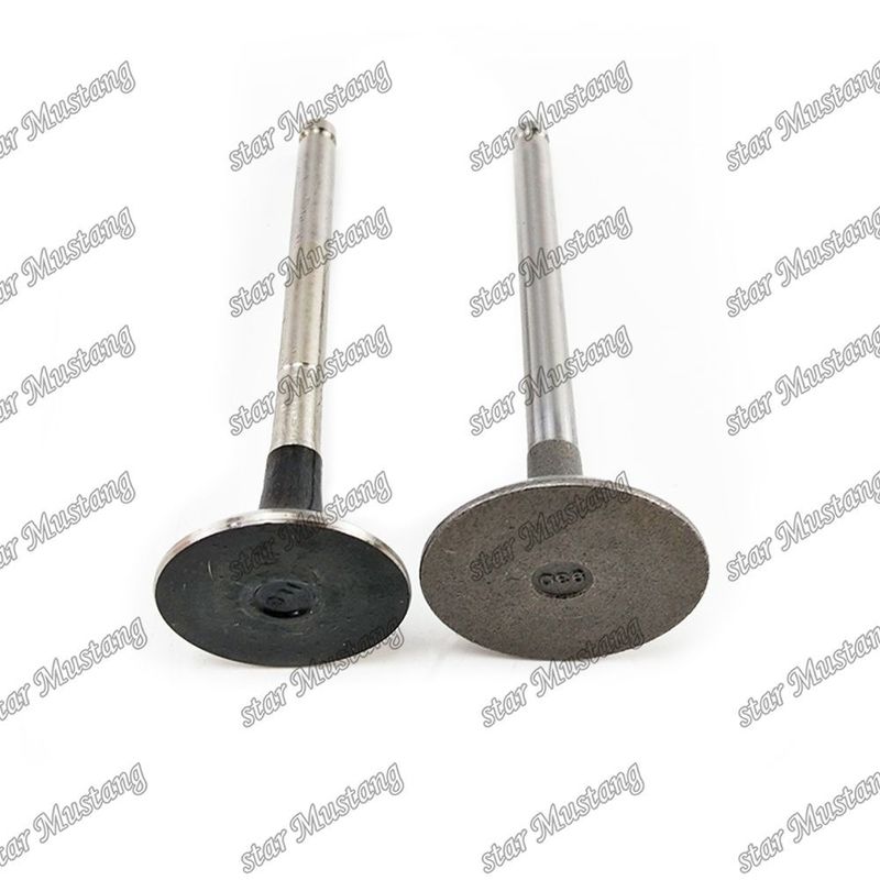 ইসুজু ইঞ্জিনের খুচরা যন্ত্রাংশের জন্য 3KC2 valve IN 5-12551-024-0 EX 9-12552-240-0