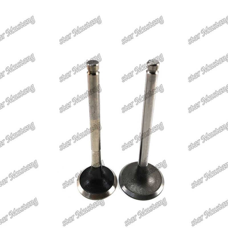 ইসুজু ইঞ্জিনের খুচরা যন্ত্রাংশের জন্য 3KC2 valve IN 5-12551-024-0 EX 9-12552-240-0
