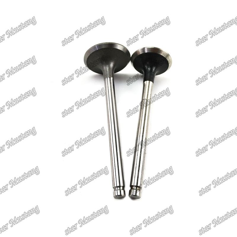 ইসুজু ইঞ্জিনের খুচরা যন্ত্রাংশের জন্য 3KC2 valve IN 5-12551-024-0 EX 9-12552-240-0