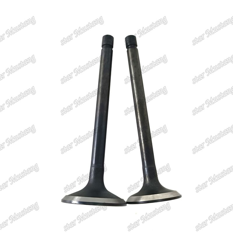 ইঞ্জিন ভালভ 3LA1 8-97102-123-0 8-97045-410-2 ইসুজু ইঞ্জিনের খুচরা যন্ত্রাংশের জন্য