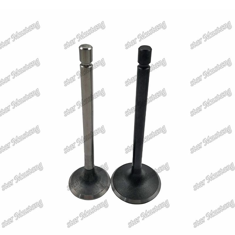 ইঞ্জিন ভালভ 4HF1 4HG1 8-97033-964-1 8-97019-337-0 ইসুজু ইঞ্জিনের খুচরা যন্ত্রাংশের জন্য উপযুক্ত