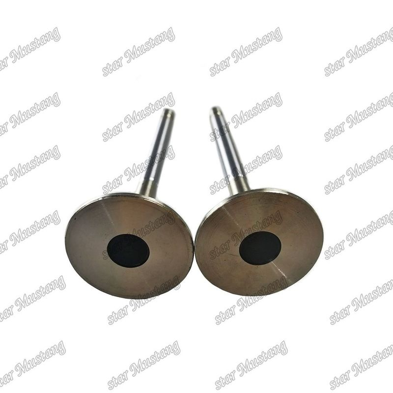 ভ্যালভ 4HL1 IN 8-94395-113-1 EX 8-94395-462-0 ইসুজু ইঞ্জিনের জন্য উপযুক্ত