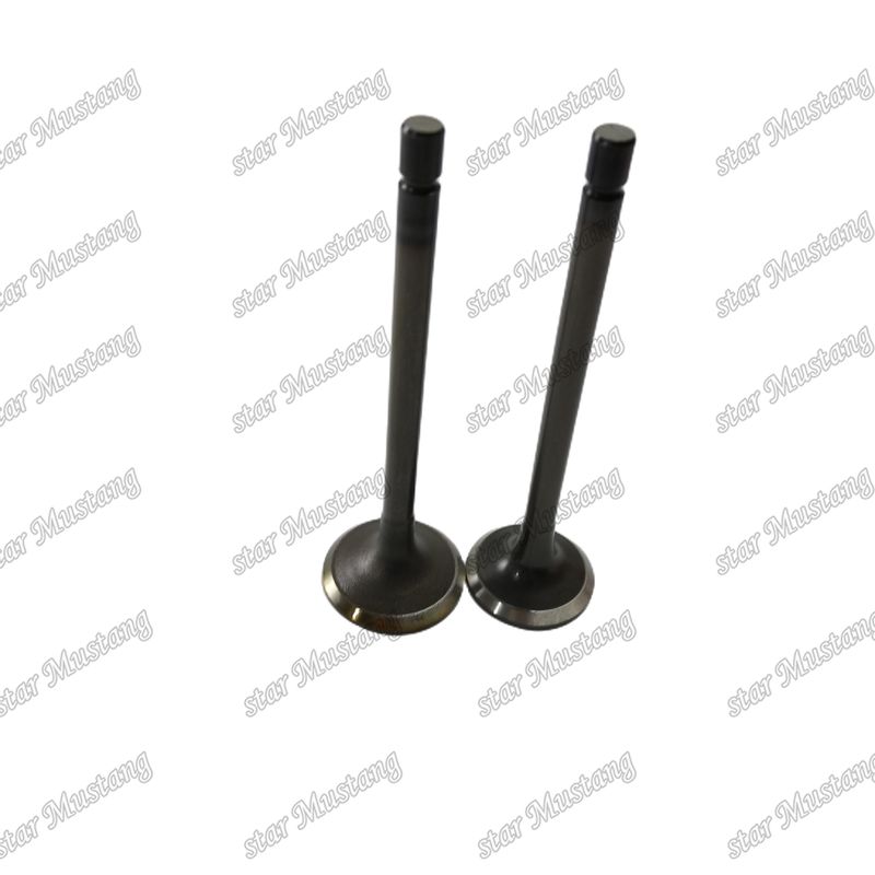ভ্যালভ 4JJ1 8-97309-675-1 8-97309-677-1 ইসুজু ইঞ্জিনের খুচরা যন্ত্রাংশের জন্য