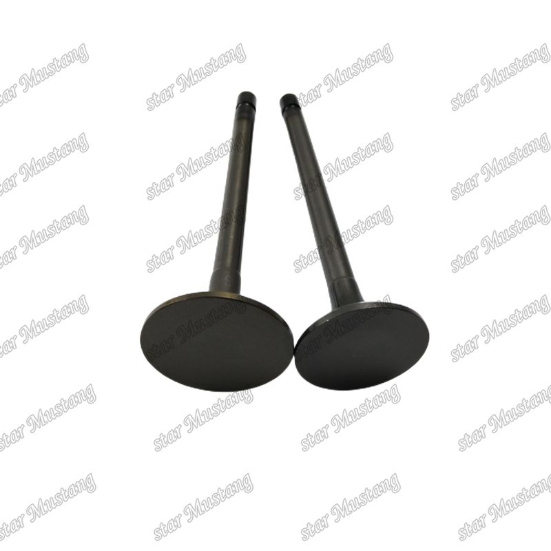 ভ্যালভ 4JJ1 8-97309-675-1 8-97309-677-1 ইসুজু ইঞ্জিনের খুচরা যন্ত্রাংশের জন্য