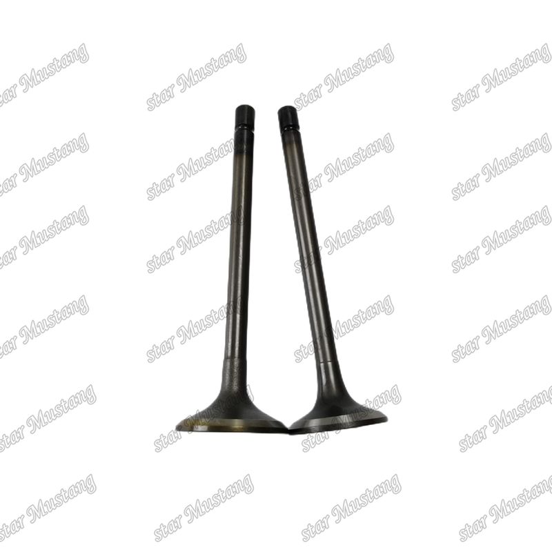 ভ্যালভ 4JJ1 8-97309-675-1 8-97309-677-1 ইসুজু ইঞ্জিনের খুচরা যন্ত্রাংশের জন্য