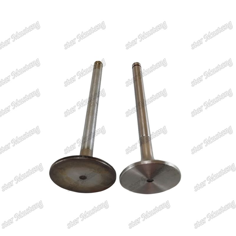 ভ্যালভ EK100 EK130 EF750 13715-1060 13711-1450 হিনো ইঞ্জিনের খুচরা যন্ত্রাংশের জন্য উপযুক্ত