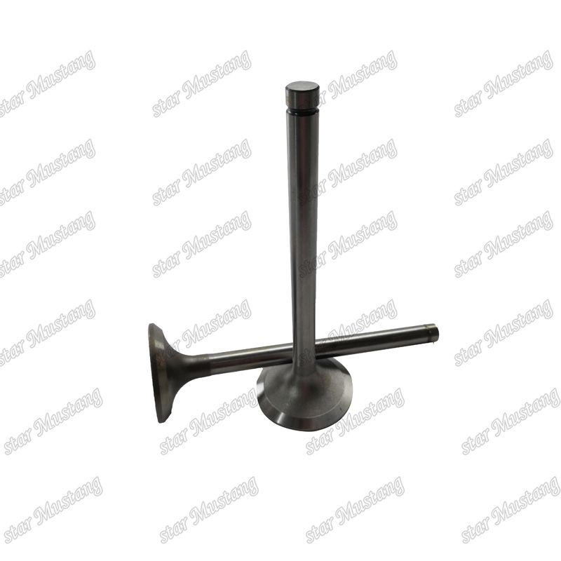 ভ্যালভ EK100 EK130 EF750 13715-1060 13711-1450 হিনো ইঞ্জিনের খুচরা যন্ত্রাংশের জন্য উপযুক্ত