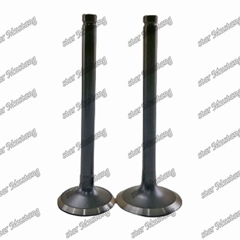 ভালভ W06D W06E 13711-1521 13715-1570 হিনো ইঞ্জিনের খুচরা যন্ত্রাংশের জন্য উপযুক্ত