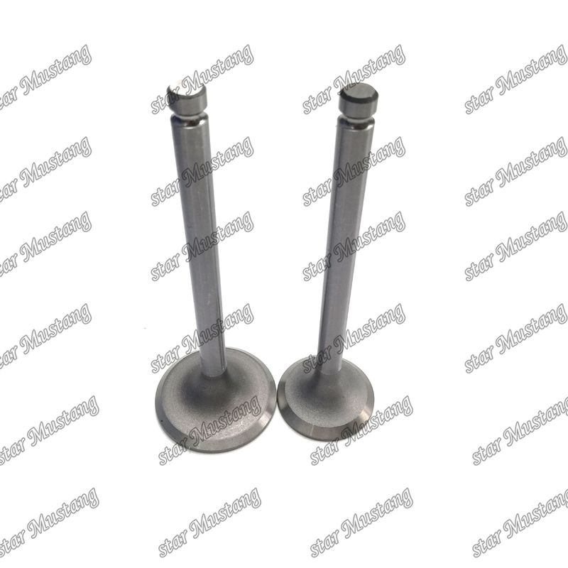 ইঞ্জিন ভালভ DB33 65.02500-0001 65.02500-0002 Doosan ইঞ্জিন খুচরা যন্ত্রাংশ জন্য উপযুক্ত