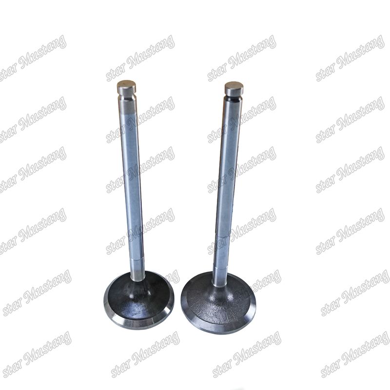 ডিজেল ভালভ DE08 IN 65.01611-2031 EX 65.01611-2042 Doosan ইঞ্জিনের খুচরা যন্ত্রাংশের জন্য উপযুক্ত