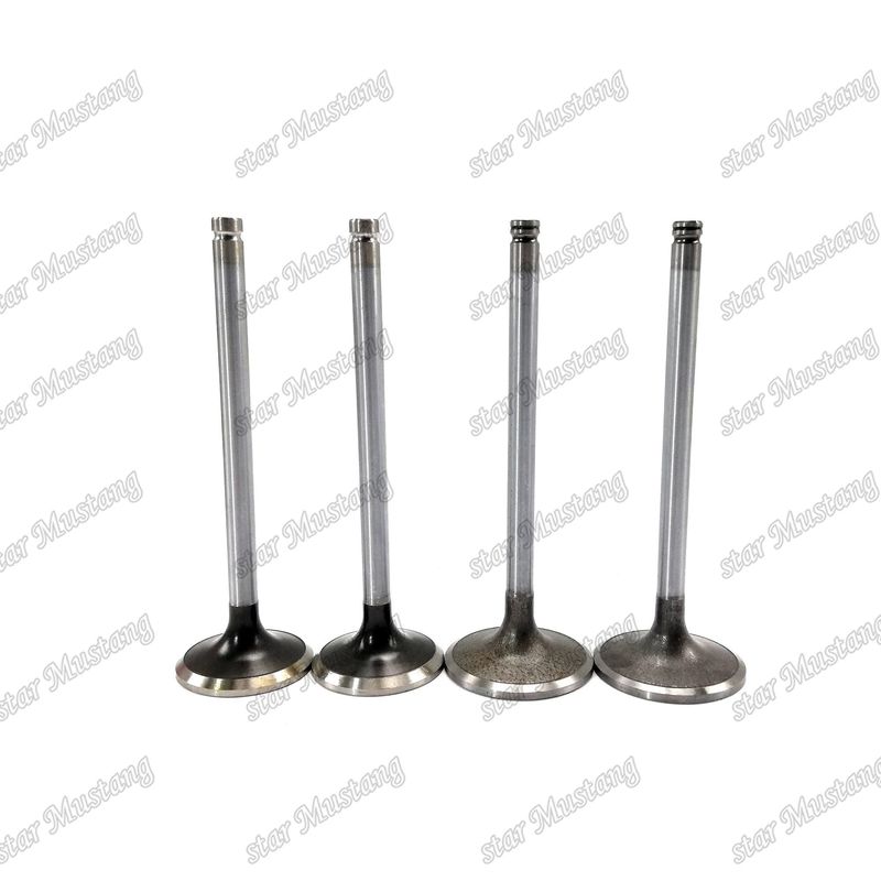 ভালভ 6D114 6CT 6CT8.3 ইনপুট 3924492 এক্সজাস 3921444 কামিন্স ইঞ্জিনের খুচরা যন্ত্রাংশের জন্য উপযুক্ত