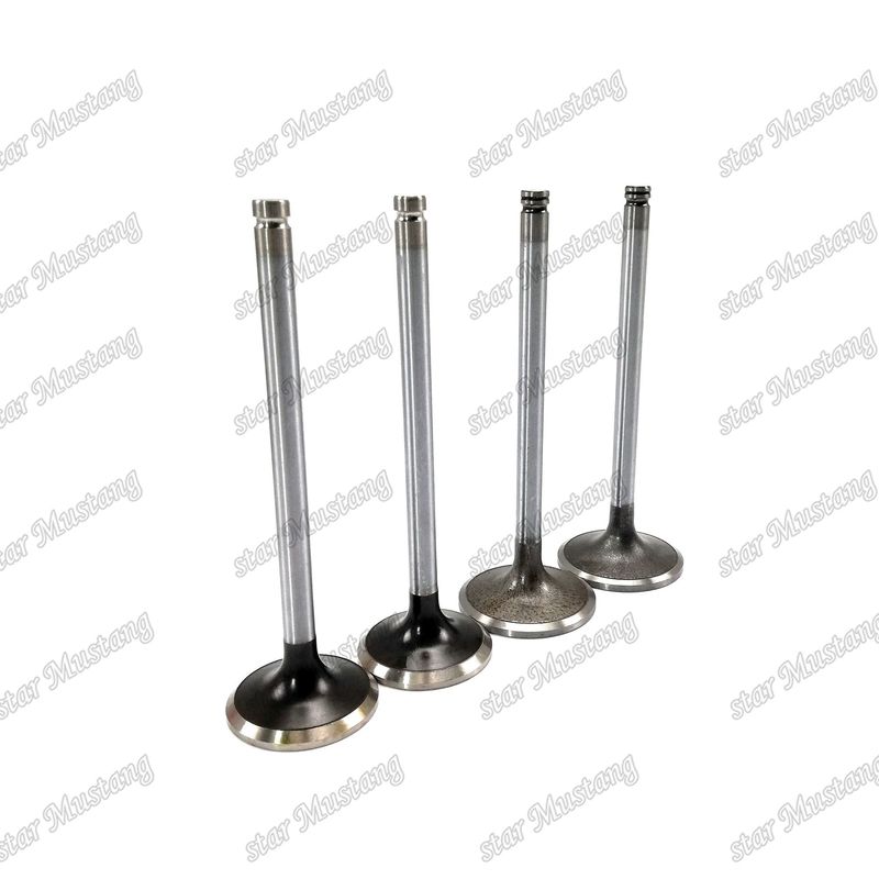 ভালভ 6D114 6CT 6CT8.3 ইনপুট 3924492 এক্সজাস 3921444 কামিন্স ইঞ্জিনের খুচরা যন্ত্রাংশের জন্য উপযুক্ত