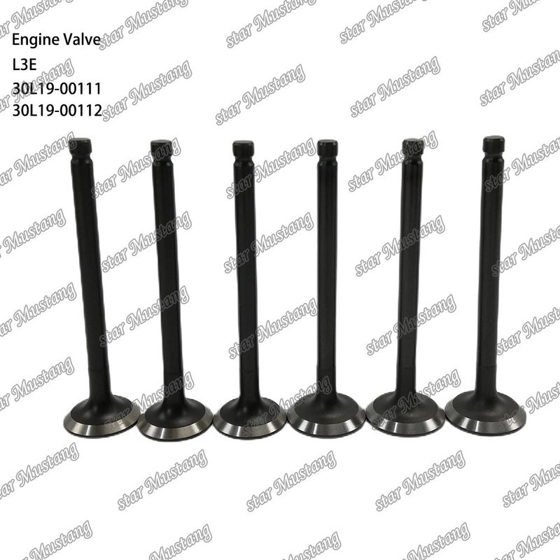 L3E 30L19-00111 30L19-00112 ডিজেল ইঞ্জিন ভালভ Mitsubishi খুচরা যন্ত্রাংশ জন্য উপযুক্ত