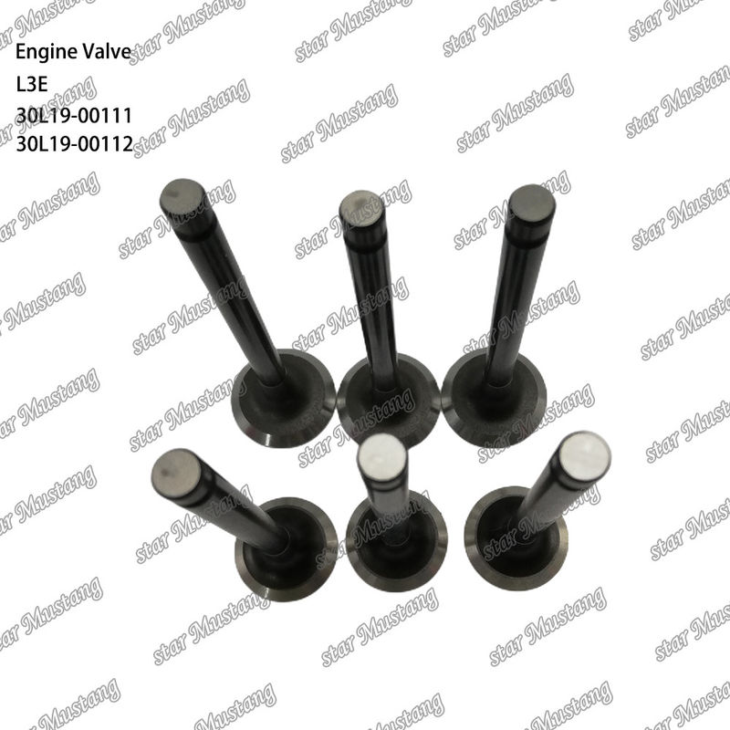 L3E 30L19-00111 30L19-00112 ডিজেল ইঞ্জিন ভালভ Mitsubishi খুচরা যন্ত্রাংশ জন্য উপযুক্ত