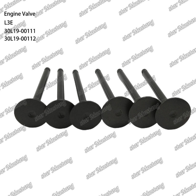 L3E 30L19-00111 30L19-00112 ডিজেল ইঞ্জিন ভালভ Mitsubishi খুচরা যন্ত্রাংশ জন্য উপযুক্ত