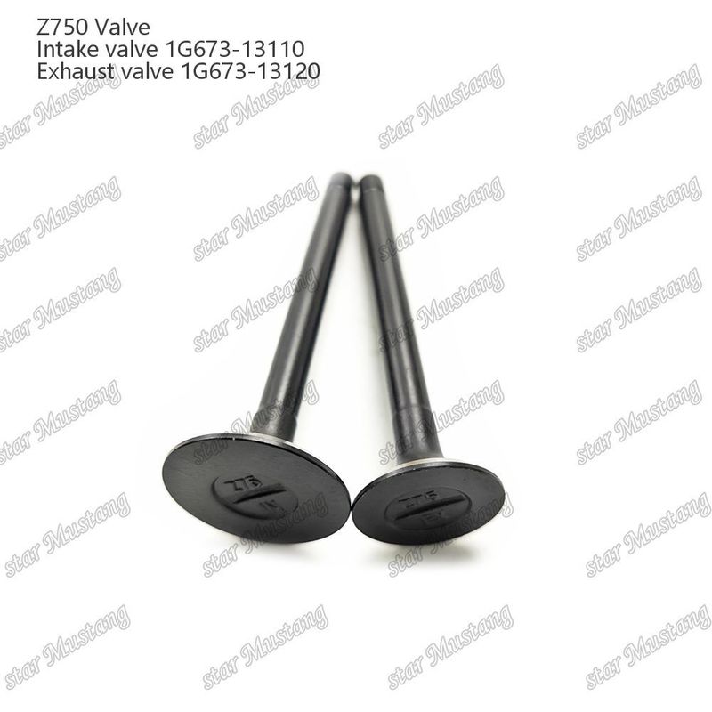 ইন্টিগ্রেটেড স্ট্রাকচার ভালভ Z750 1G673-13110 1G673-13120 ডিজেল ইঞ্জিন পার্ট মূল স্টক অনলাইন সাপোর্ট সঙ্গে পরে