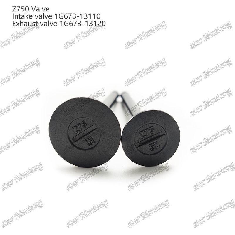 ইন্টিগ্রেটেড স্ট্রাকচার ভালভ Z750 1G673-13110 1G673-13120 ডিজেল ইঞ্জিন পার্ট মূল স্টক অনলাইন সাপোর্ট সঙ্গে পরে