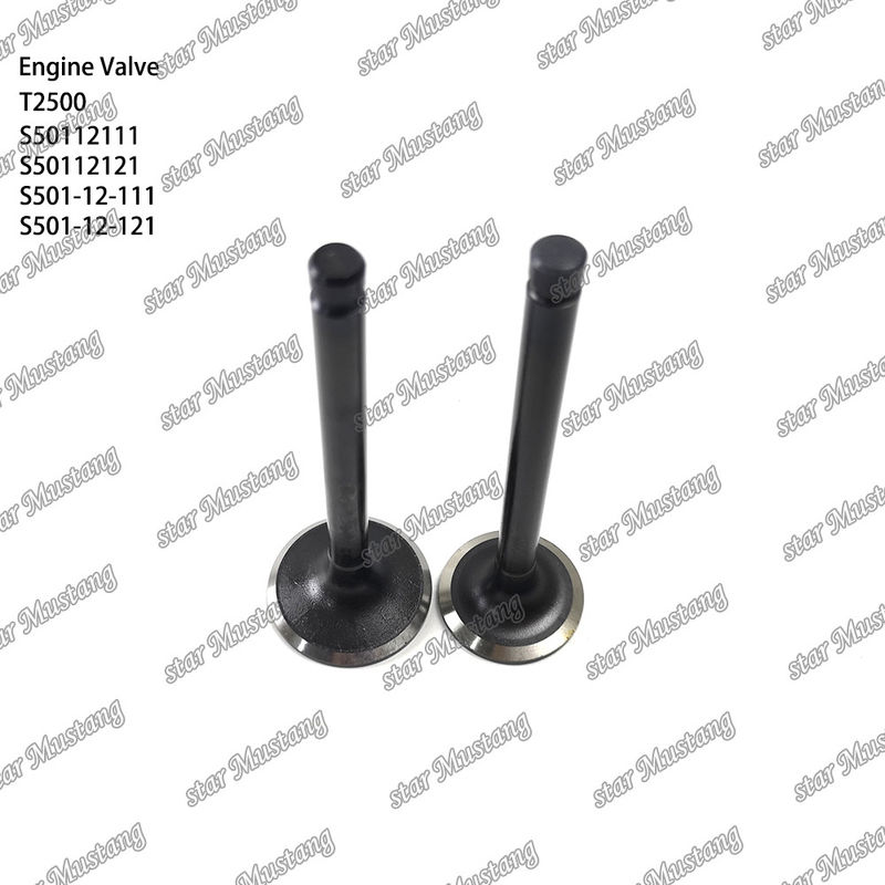 ইন্টিগ্রেটেড স্ট্রাকচার ভালভ T2500 S50112111 S50112121 S501-12-111 S501-12-121 ডিজেল ইঞ্জিন পার্ট অনলাইন সাপোর্ট সঙ্গে মূল স্টক পরে