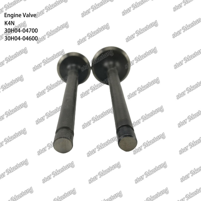 K4N 30H04-04700 30H04-04600 ডিজেল ইঞ্জিন পার্ট মূল স্টক অনলাইন সাপোর্ট সঙ্গে পরে