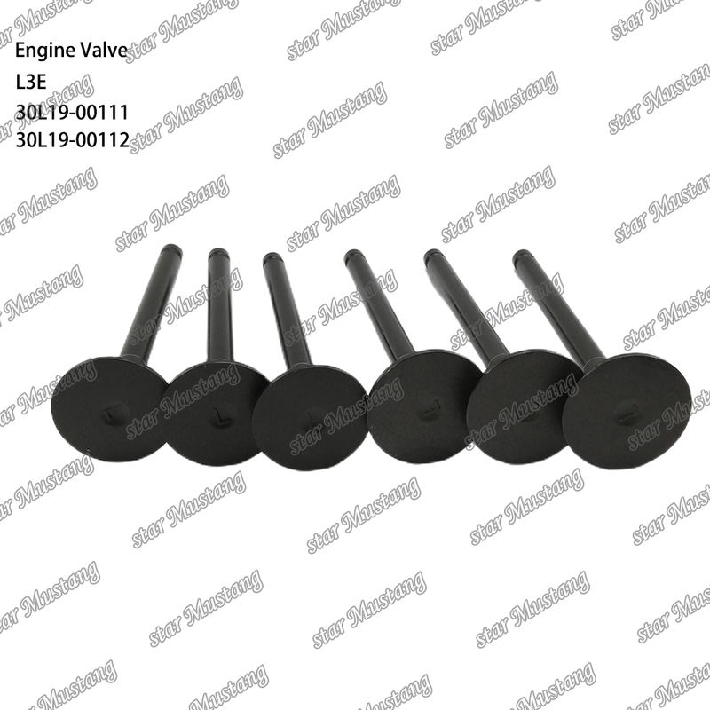 L3E 30L19-00111 30L19-00112 ডিজেল ইঞ্জিন পার্ট মূল স্টক সঙ্গে অনলাইন সমর্থন পরে