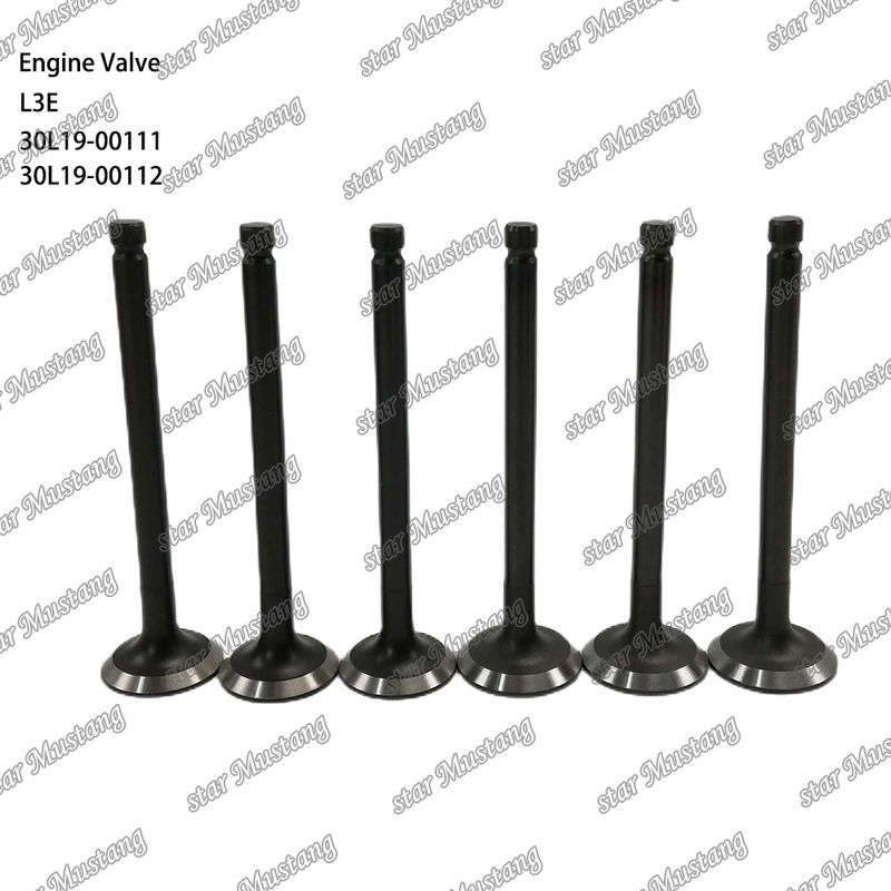 L3E 30L19-00111 30L19-00112 ডিজেল ইঞ্জিন পার্ট মূল স্টক সঙ্গে অনলাইন সমর্থন পরে