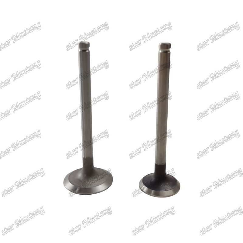 ইন্টিগ্রাল স্ট্রাকচার ভালভ 3142L072 3142A151 ডিজেল ইঞ্জিন পার্ট আসল স্টক অনলাইন সাপোর্টের সাথে