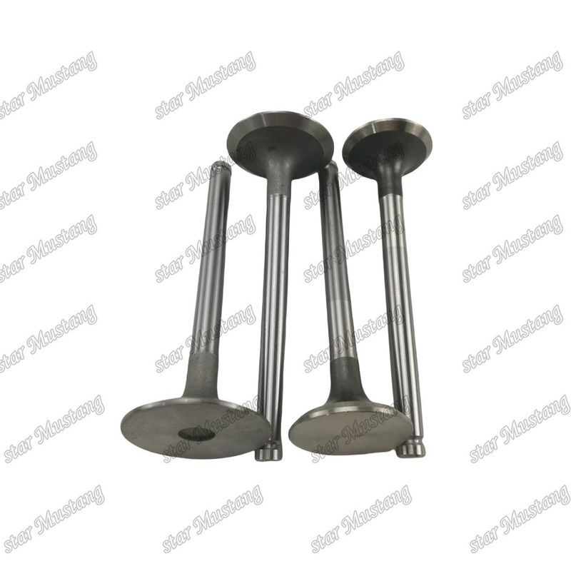 ইন্টিগ্রেটেড স্ট্রাকচার ভ্যালভ 1004T 3142H002 3142A051 ডিজেল ইঞ্জিন পার্ট মূল স্টক অনলাইন সাপোর্ট সঙ্গে পরে