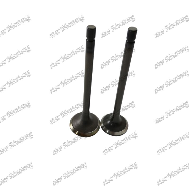 4JJ1 Diesel Engine Valve 8-97309-675-1 8-97309-677-1 for Industrial Applications